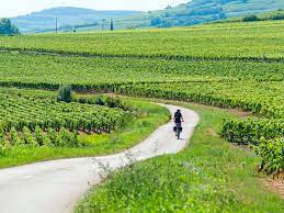 La Bourgogne à vélo : 2900 km de canaux et voies vertes